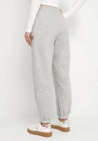 Born2be - Jasnoszare Bawełniane Spodnie Dresowe o Kroju Jogger Falorwena. Okazja: na co dzień. Kolor: szary. Materiał: bawełna, dresówka. Styl: klasyczny, casual #3