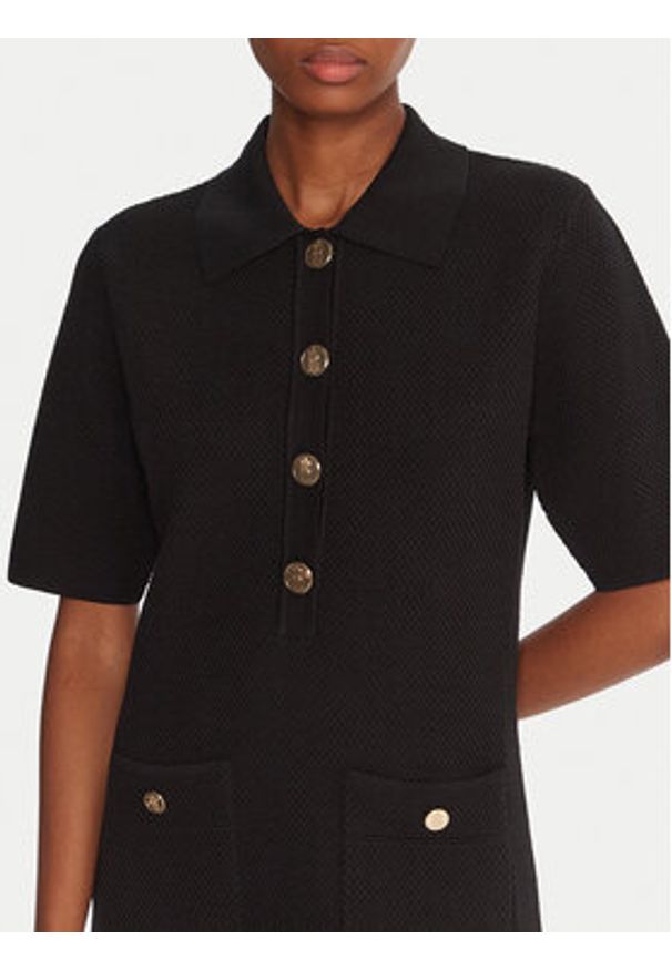 Fracomina Sukienka codzienna FR25WD5005K55301 Czarny Regular Fit. Okazja: na co dzień. Kolor: czarny. Materiał: syntetyk, wiskoza. Typ sukienki: proste. Styl: casual