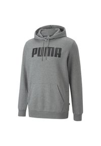 Puma - Męska bluza Essentials z kapturem PUMA Medium Gray Heather. Typ kołnierza: kaptur. Kolor: szary. Materiał: dresówka