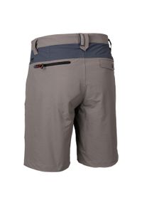 TRESPASS - Męskie Spodenki Daars Casual Shorts. Kolor: wielokolorowy, niebieski, szary