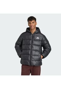 Adidas - Kurtka z kapturem Essentials CLIMAWARM Synthetic Down Puffer. Typ kołnierza: kaptur. Kolor: czarny. Technologia: ClimaWarm (Adidas) #1