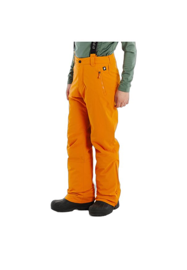 Dziecięce spodnie narciarskie Protest Spikety. Kolor: żółty. Sezon: zima. Sport: narciarstwo