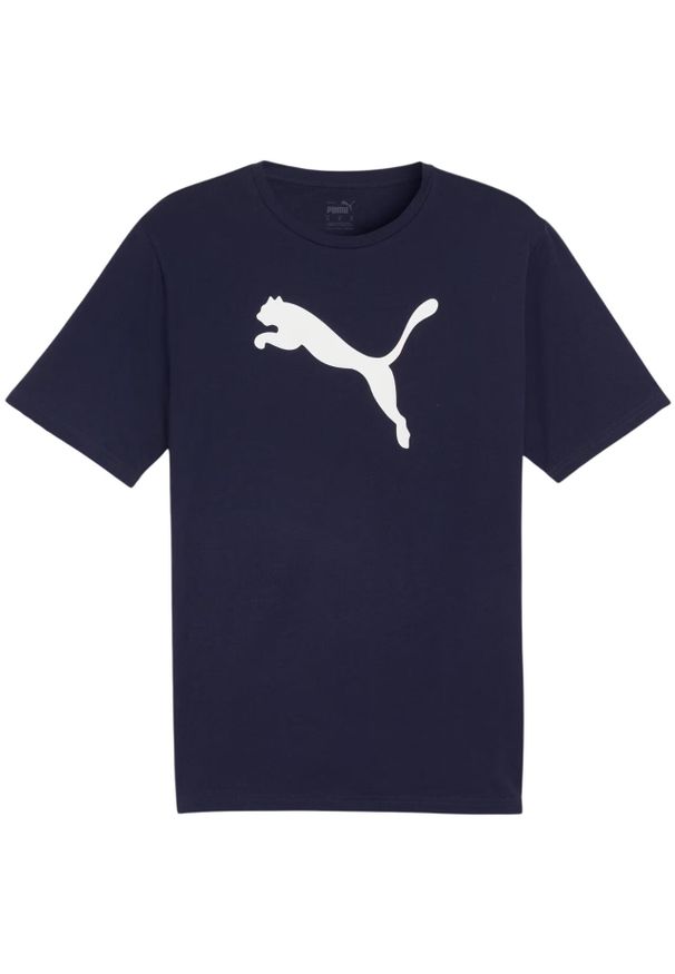 Koszulka męska Puma Team Rise Logo Jersey Cotton. Kolor: niebieski, wielokolorowy, biały. Materiał: jersey. Sport: fitness, piłka nożna