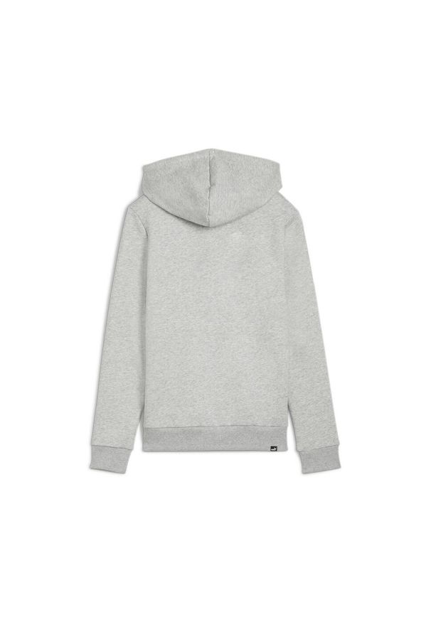 Bluza sportowa damska Puma Ess+ Logo Lab Fl. Kolor: szary