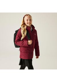 Regatta - Kurtka dziecięca zimowa Halkner. Okazja: na co dzień, na uczelnię. Kolor: czerwony. Materiał: puch. Sezon: zima. Styl: casual, sportowy #1
