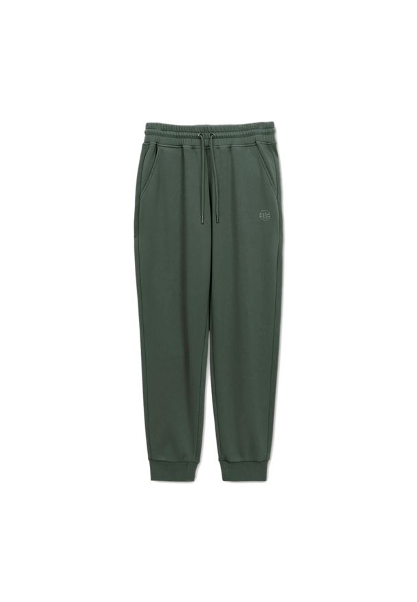 PITBULL - Spodnie męskie Pitbull Lancaster 2 Track Pants. Kolor: zielony. Sport: fitness