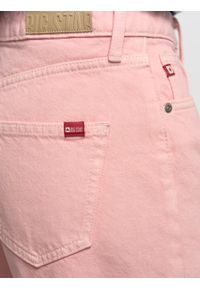 Big-Star - Spodnie jeans damskie różowe Meg 601. Kolor: różowy. Wzór: paski. Sezon: wiosna, lato #6