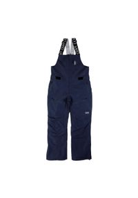 Spodnie narciarskie męskie Colourwear Slash Bib. Kolor: niebieski. Sezon: zima. Sport: narciarstwo #1