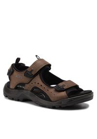 ecco - ECCO Sandały Offroad 82204402114 Brązowy. Kolor: brązowy. Materiał: nubuk, skóra