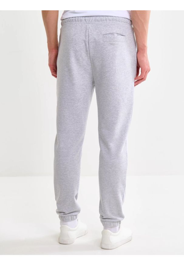 Big-Star - Spodnie męskie dresowe szare Brutus 901. Kolekcja: plus size. Kolor: szary. Materiał: dresówka. Wzór: nadruk, aplikacja