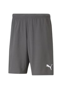 Puma - Męskie Spodenki Dresowe TeamRISE. Kolor: szary. Materiał: dresówka