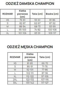 Koszulka sportowa damska Champion SS Tee. Kolor: fioletowy