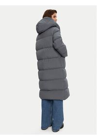Blauer Płaszcz zimowy 24WBLDK03297 Szary Regular Fit. Kolor: szary. Materiał: syntetyk. Sezon: zima #4