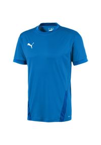 Koszulka do piłki nożnej męska Puma teamGOAL 23 Jersey. Kolor: niebieski. Materiał: jersey #1