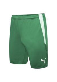 Puma - Męskie Spodenki Team Liga. Kolor: zielony
