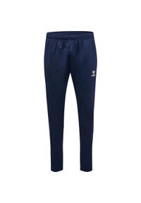 Spodnie sportowe dresowe Hummel Essential Training Pants. Kolor: niebieski. Materiał: dresówka