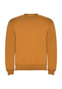 ROLY - Bluza Unisex Dla Dorosłych Clasica Z Okrągłym Dekoltem. Kolor: brązowy, wielokolorowy, żółty