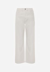 Born2be - Białe Szerokie Jeansy z Bawełny z Wysokim Stanem Dalinatea. Stan: podwyższony. Kolor: biały. Długość: długie. Wzór: jednolity, aplikacja. Sezon: lato. Styl: klasyczny #8