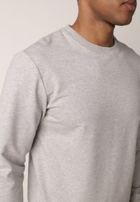 Born2be - Szara Bluza o Klasycznym Kroju z Bawełną Merinne. Okazja: na co dzień. Kolor: szary. Materiał: bawełna. Styl: klasyczny #6