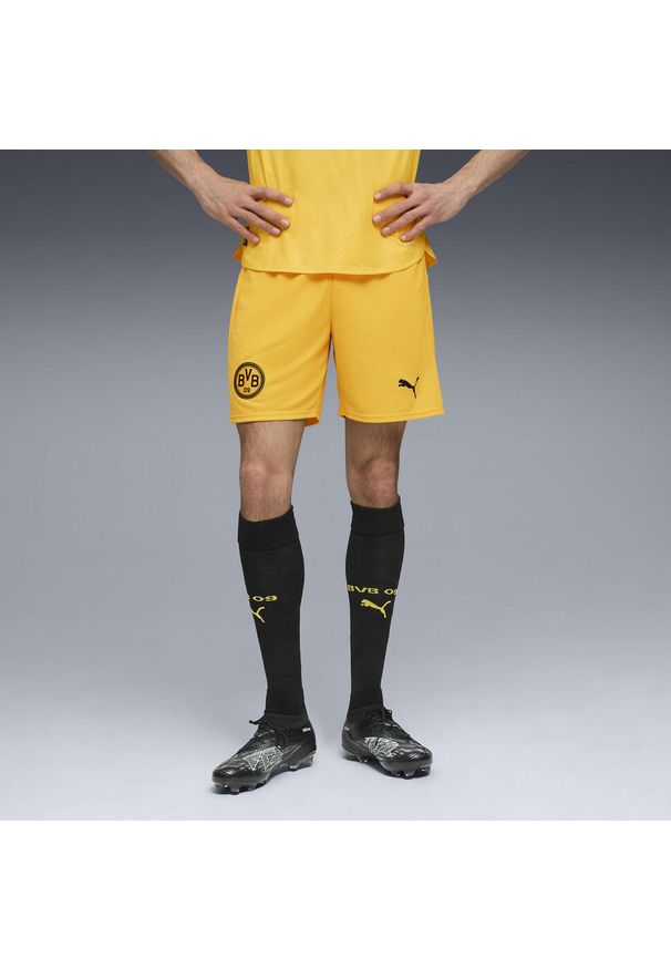 Puma - Męskie szorty Borussia Dortmund 25/26 PUMA. Kolor: wielokolorowy, żółty, brązowy. Materiał: tkanina. Sport: piłka nożna, fitness