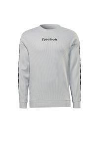 Bluza sportowa męska Reebok HZ3322. Kolor: wielokolorowy, szary #1