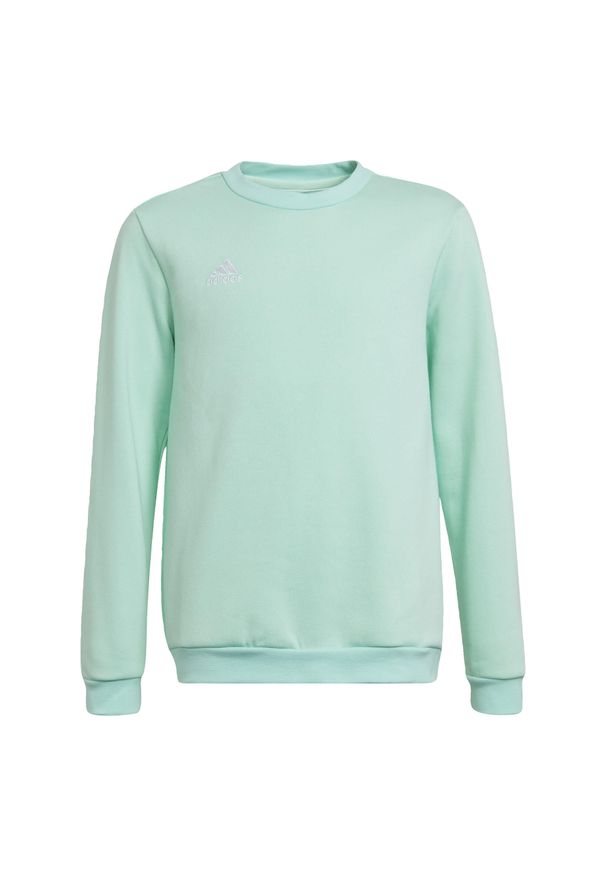 Adidas - Entrada 22 Sweat Top. Kolor: zielony. Materiał: poliester, bawełna. Sport: piłka nożna