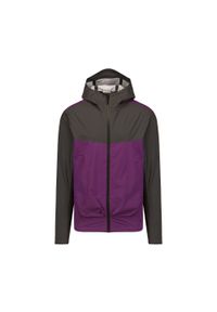 Kurtka męska Dolomite Pelmo Hooded 2.5L. Kolor: szary