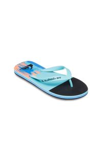 Quiksilver - Klapki dla Mężczyzn MOLOKAI STRIPE 25. Okazja: na plażę. Kolor: niebieski. Materiał: guma, syntetyk, materiał. Styl: sportowy