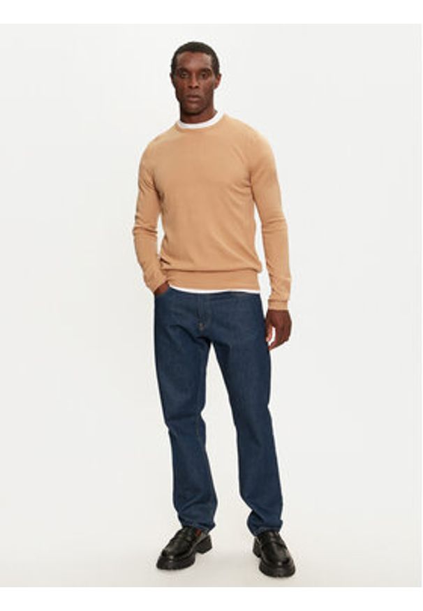 Brave Soul Sweter MK-230PARSEC6 Beżowy Regular Fit. Kolor: beżowy. Materiał: syntetyk