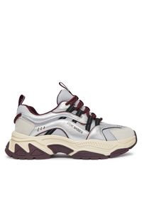 Sneakersy Steve Madden. Kolor: szary