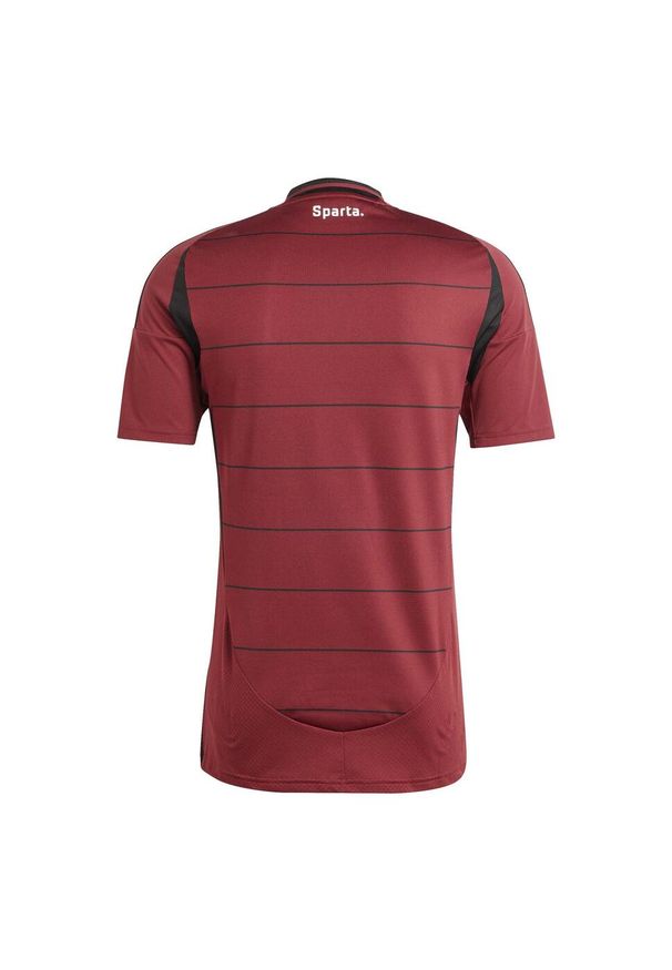 Adidas - Koszulka piłkarska ADIDAS Sparta Prague 25/26 Domowa. Wzór: paski. Sport: piłka nożna
