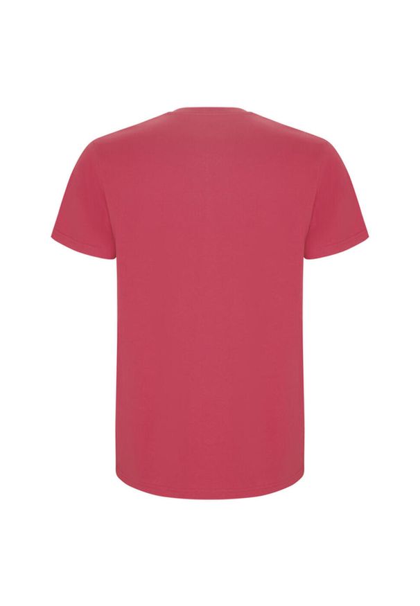 ROLY - Męska Koszulka Stafford. Kolor: czerwony. Sport: turystyka piesza