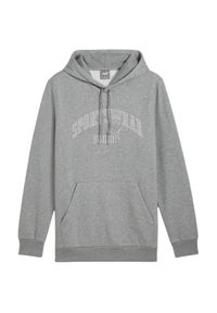 Puma - Męska Bluza Z Logo Essentials 68177. Kolor: szary