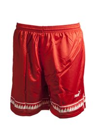 Puma Czerwone M Szorty Sportowe - Lekkie i Oddychające dla Mężczyzn. Kolor: czerwony. Materiał: poliester. Sport: fitness