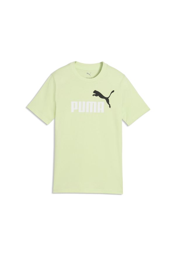 Puma - Młodzieżowa koszulka Essentials Colour z logo No.1 PUMA. Kolor: zielony. Materiał: guma. Wzór: nadruk. Sport: joga i pilates