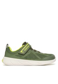 Sneakersy Geox. Kolor: zielony. Sport: bieganie #1