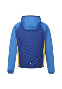 Regatta - Kurtka Dziecięca/dziecięca Kielder Hybrid VII Padded Jacket. Kolor: niebieski