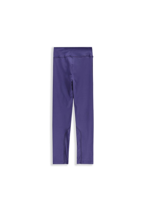 Legginsy do gimanstyki dla dzieci Lemon Explore WL5. Okazja: na co dzień. Stan: podwyższony. Kolor: niebieski. Materiał: poliester, elastan. Wzór: aplikacja. Styl: sportowy, casual