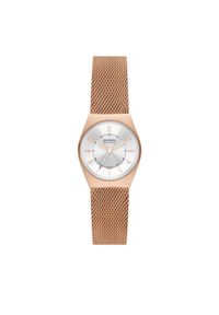 Skagen Zegarek Grenen SKW3035 Złoty. Kolor: złoty