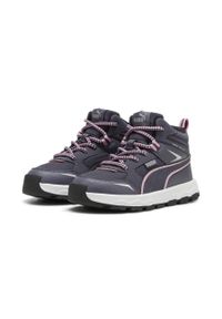 Puma Buty Evolve Trail Ps 39764503. Kolor: szary