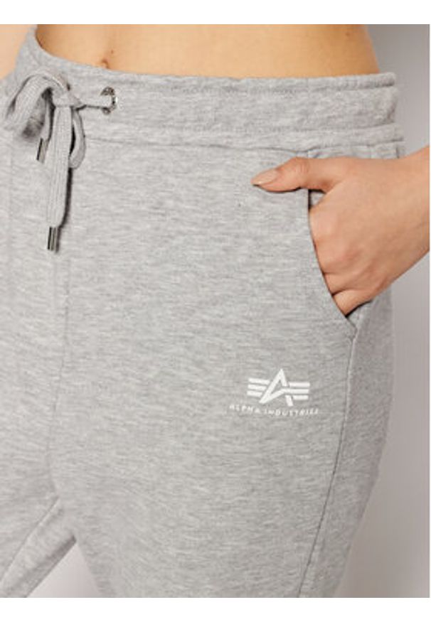 Alpha Industries Spodnie dresowe Basic 116051 Szary Regular Fit. Kolor: szary. Materiał: bawełna