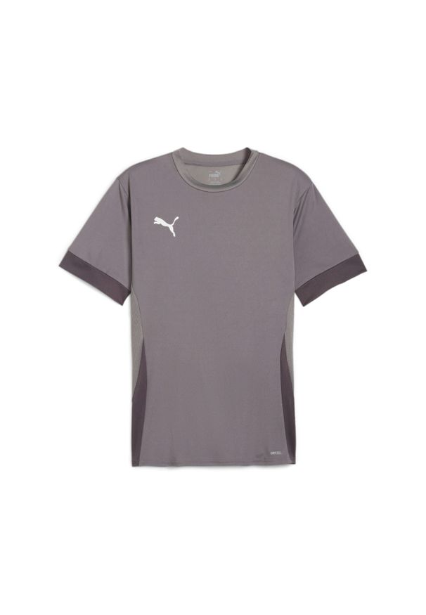 Koszulka Puma Teamgoal Matchday. Kolor: szary. Sport: piłka nożna