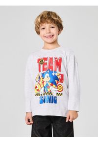 Sinsay - Bawełniana koszulka z nadrukiem Sonic the Hedgehog - szary. Kolor: szary. Materiał: bawełna. Wzór: nadruk #1