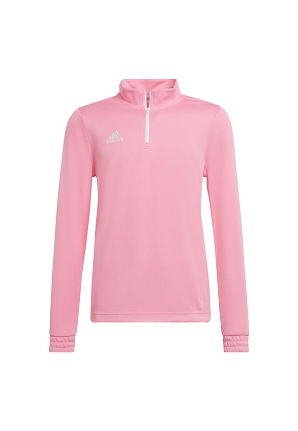 Adidas - Bluza piłkarska dla dzieci adidas Entrada 22 Training Top. Kolor: różowy. Sport: piłka nożna
