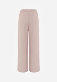Born2be - Różowe Szerokie Spodnie Casual z Wysokim Stanem i Biżuteryjną Aplikacją Aronia. Okazja: na co dzień. Stan: podwyższony. Kolekcja: plus size. Kolor: różowy. Długość: krótkie. Wzór: aplikacja. Styl: casual #5