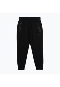 PITBULL - Spodnie męskie Pitbull Dogwood Track Pants. Kolor: czarny. Sport: fitness
