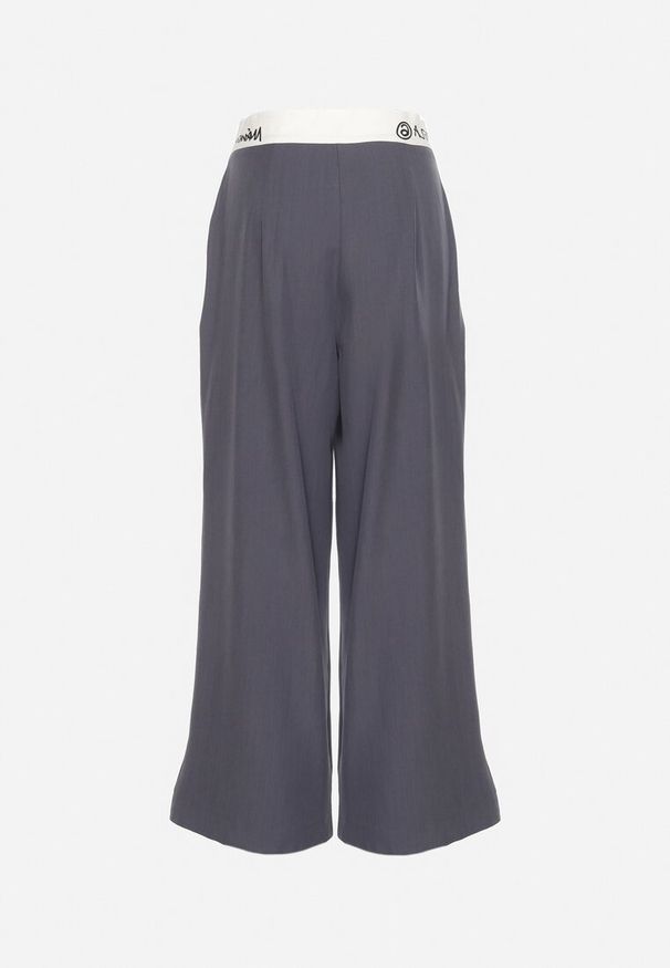 Born2be - Szare Szerokie Palazzo Spodnie z Wysokim Stanem Zapinane na Zamek i Guziki Folina. Okazja: na co dzień, na spotkanie biznesowe. Stan: podwyższony. Kolekcja: plus size. Kolor: szary. Materiał: bawełna. Styl: wizytowy, biznesowy, casual, elegancki