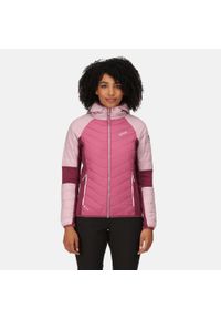 Trutton Regatta damska trekkingowa kurtka. Kolor: fioletowy, różowy, wielokolorowy. Sport: turystyka piesza #1