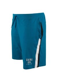 ZIP BAITS - Męskie szorty ATHL DPT Iorio – Teal. Kolor: czarny, niebieski, wielokolorowy, biały. Materiał: bawełna. Długość: krótkie. Sezon: lato #1