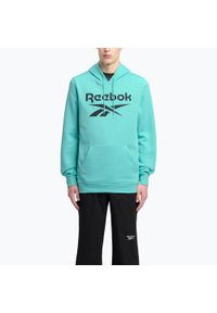 Bluza męska Reebok Identity Big Logo Fleece Hoodie. Kolor: niebieski #1